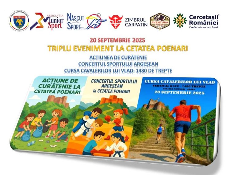 Curatenie_cetate