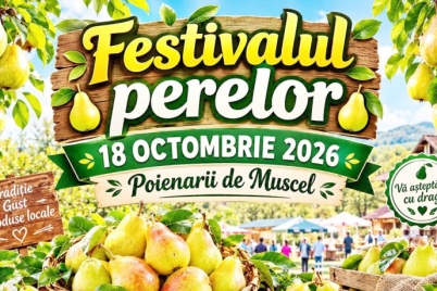 2-festival-pere-1676.jpg