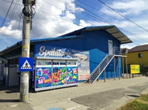 (P) Covoare curate la preț avantajos! ELEFANTINO CARPET din Mărăcineni oferă spălare la doar 14 lei/mp