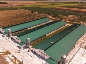 S.C. HADITON GROUP SRL: Dezbatere publică pentru modernizarea unei ferme avicole din com. Buzoești. Investiția propusă vizează o fermă de găini ouătoare din satul Curteanca