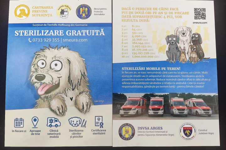 Actiuni_sterilizare_animale.jpg