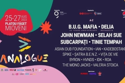 Analogue_2023.jpg