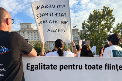 Articol_4_oct_20226_-_FOTO3.jpg