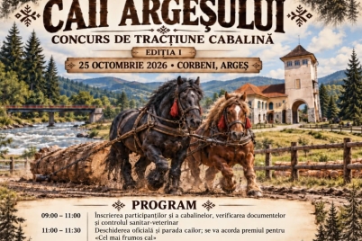 Caii_Argesului_nou.jpg