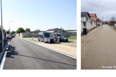 Fara-titlu-9.png