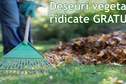 Salubritate_deseuri_vegetale_ridicate_gratuit.jpg