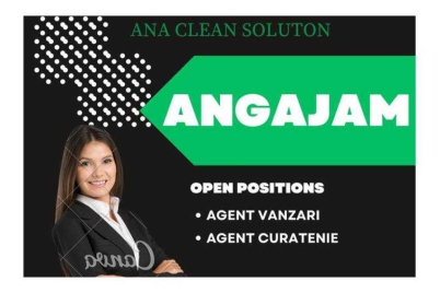 ana-clean-solution-job-anunt.jpg