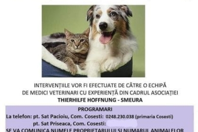campanie-sterilizari.jpg