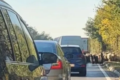 capre-bun-politie.webp