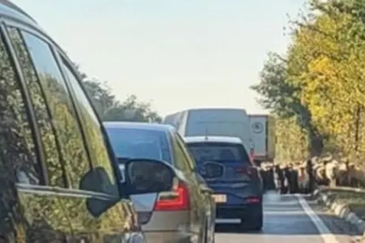 capre-bun-politie.webp