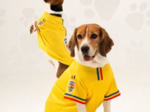 Federația Română de Fotbal (FRF) anunță punerea în vânzare a echipamentului tricolor pentru câinii suporterilor
