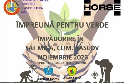 ccia-impadurire.jpg