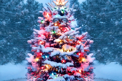 christmas-tree-gettyimages-1072744106.jpg
