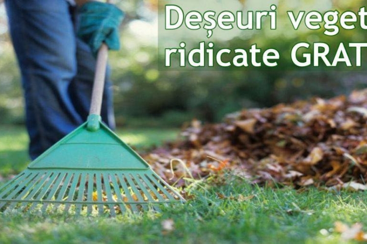deseuri_vegetale_arges.jpg