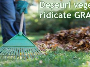 Salubritatea vă scapă GRATUIT de deșeurile vegetale rezultate în urma curățeniei de primăvară! Ce condiții trebuiesc îndeplinite