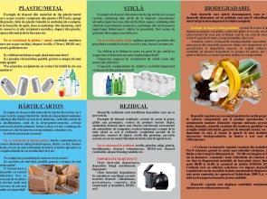 SALUBRITATE 2000 S.A.: Cum pot fi ridicate crengile și resturile vegetale din gospodăriile piteștenilor