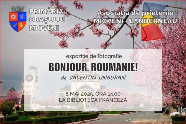 expozitie-mioveni-2.jpg