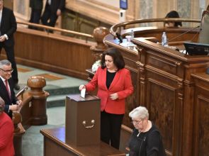 Vâlcea: Senatorul Andra Bică a votat pentru acordarea stimulentelor financiare pentru nou-născuți