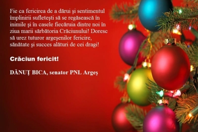 felicitare-danut-bica-pnl.jpg