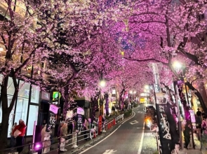 Celebrating Flowers, program de muzică japoneză la Filarmonica Pitești