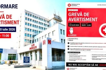 greva-768x419-1.jpg