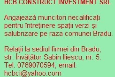 hcb-bradu-angajeaza.jpg