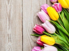 Virgil Pantilică, manager HIDRO-ARGEȘ: „Vă doresc un 8 Martie fericit! Să aveți o primăvară cu soare, bucurii și realizări!”