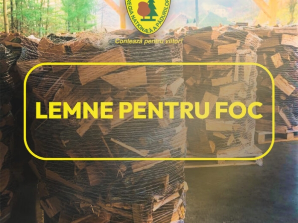Regia Națională a Pădurilor – Romsilva oferă populației aproximativ 2 milioane de metri cub de lemn de foc