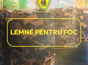 Romsilva pune la dispoziție 2 milioane mc de lemn pentru foc pentru populație în 2026