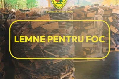 lemne-foc-e1791983945509.jpg