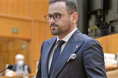 mihalcea-psd.jpg