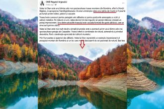 omd-valea-lui-stan-1.jpeg