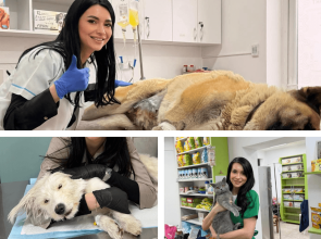 (P) Grijă și profesionalism pentru prietenii noștri necuvântători!