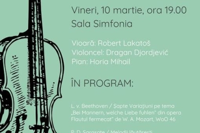 recital-vioara-filarmonica-pitesti.jpg
