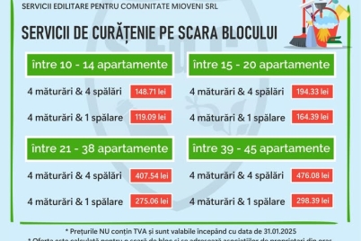 sedc-bloc.jpg