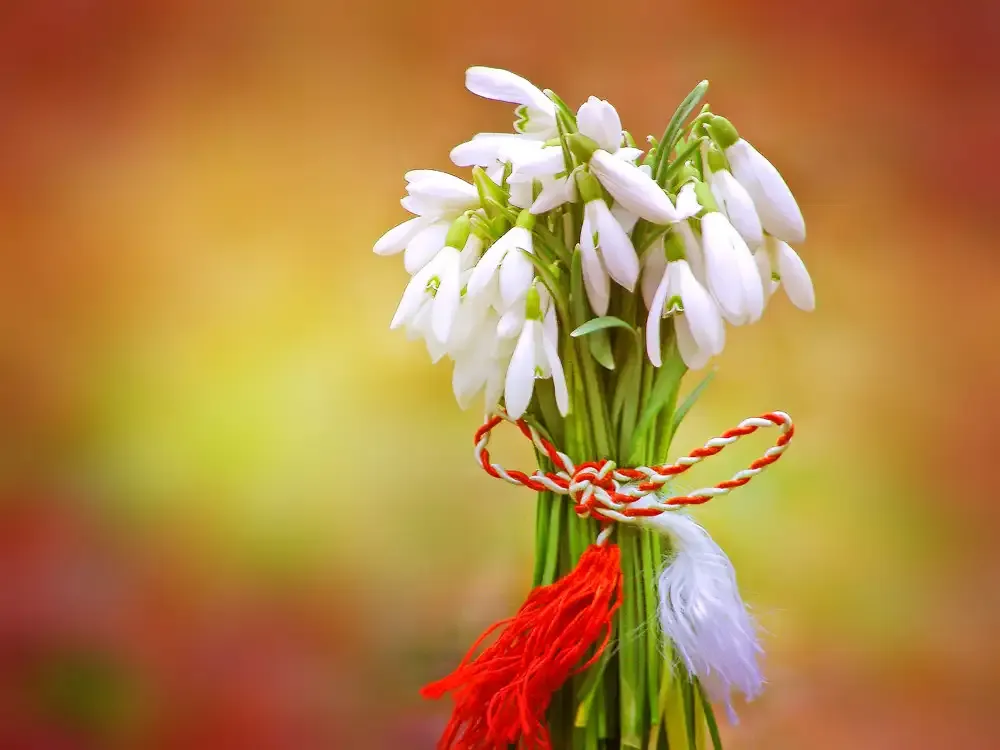 snowdrops-bouquet.webp