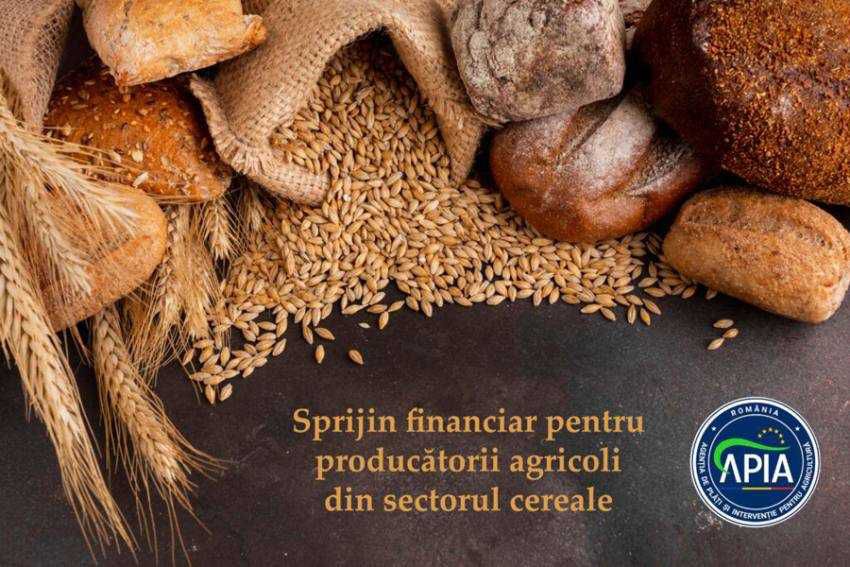 sprijin-apia-cereale.jpg