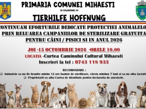ARGEȘ: Campanie de sterilizare gratuită pentru câini și pisici, la Mihăești