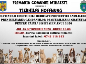 ARGEȘ: Campanie de sterilizare gratuită pentru câini și pisici, la Mihăești