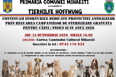 sterilizare-gratuita-poza.jpg