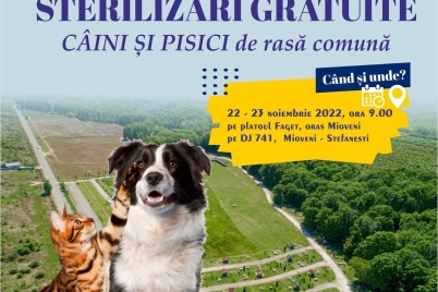 sterilizare-mioveni-nou.jpg