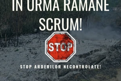 stop-arderi.jpg