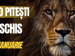 Grădina Zoologică Pitești – deschisă publicului, sâmbătă, 24 ianuarie!