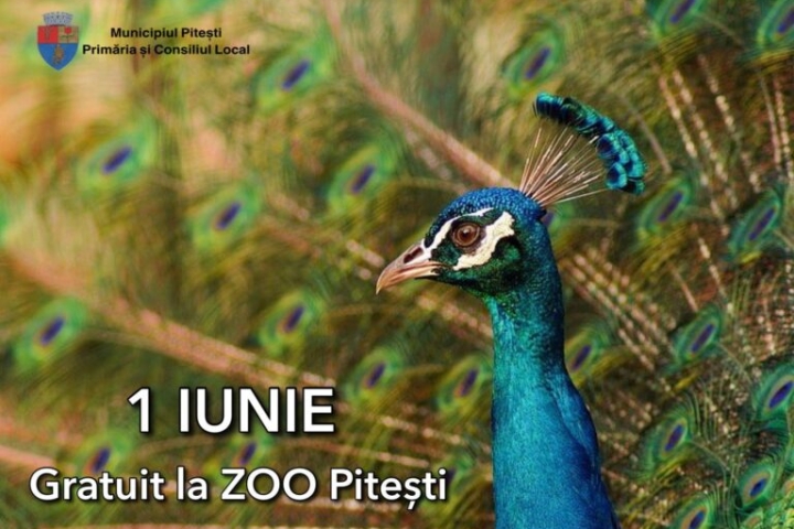zoo-768x524-1.jpg