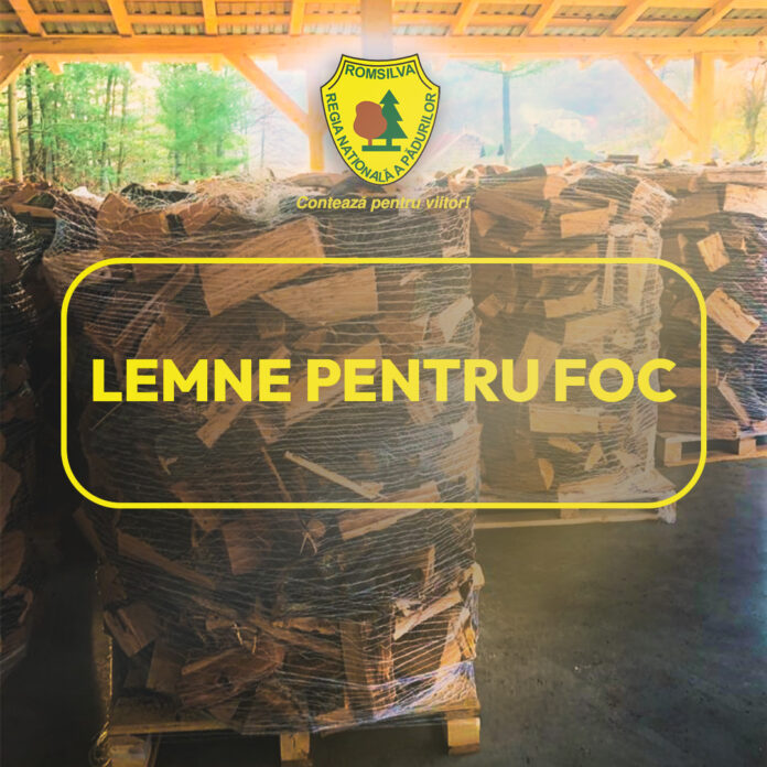 lemne-foc-696x696
