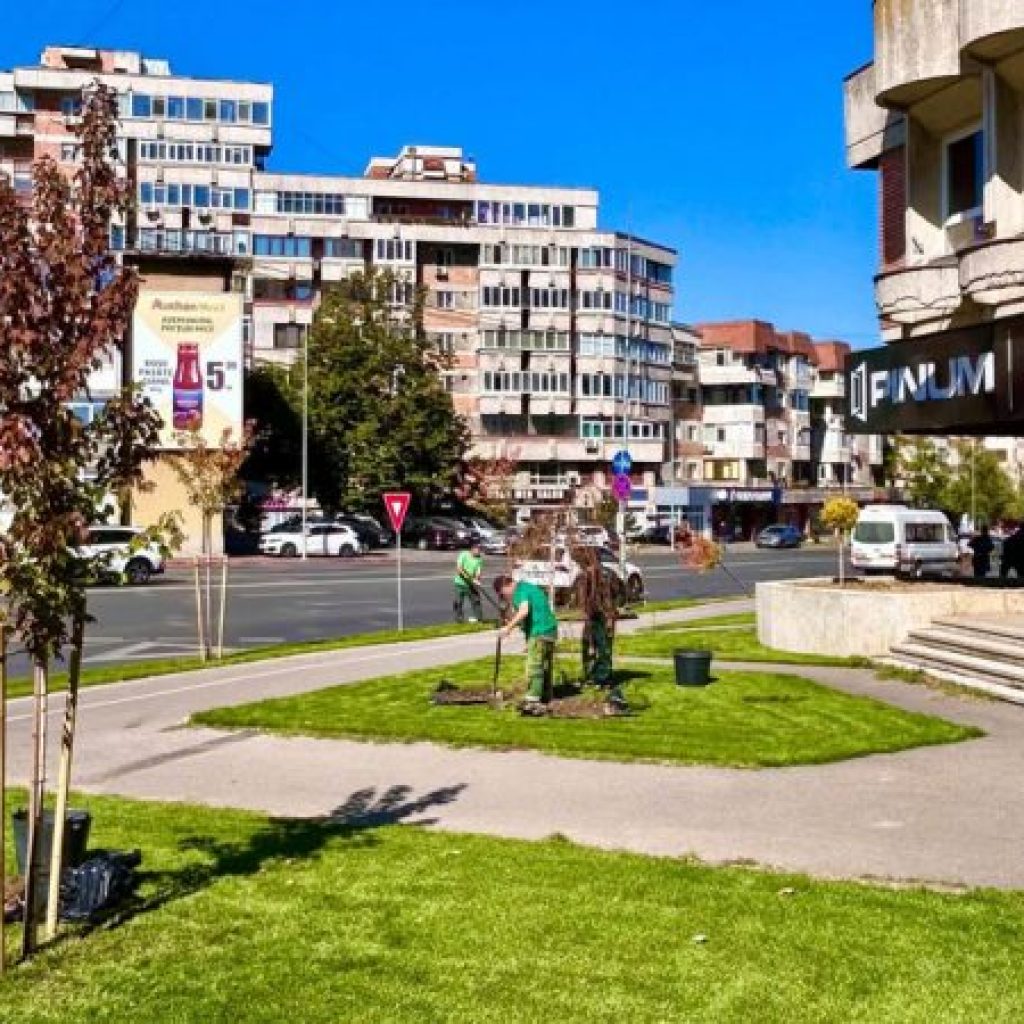 PITEȘTI. Se schimbă radical zona Bulevardului Republicii! Echipele Salpitflor lucrează intens la amenajarea zonei 1 salpitflorii green pe republicii deschidere 1